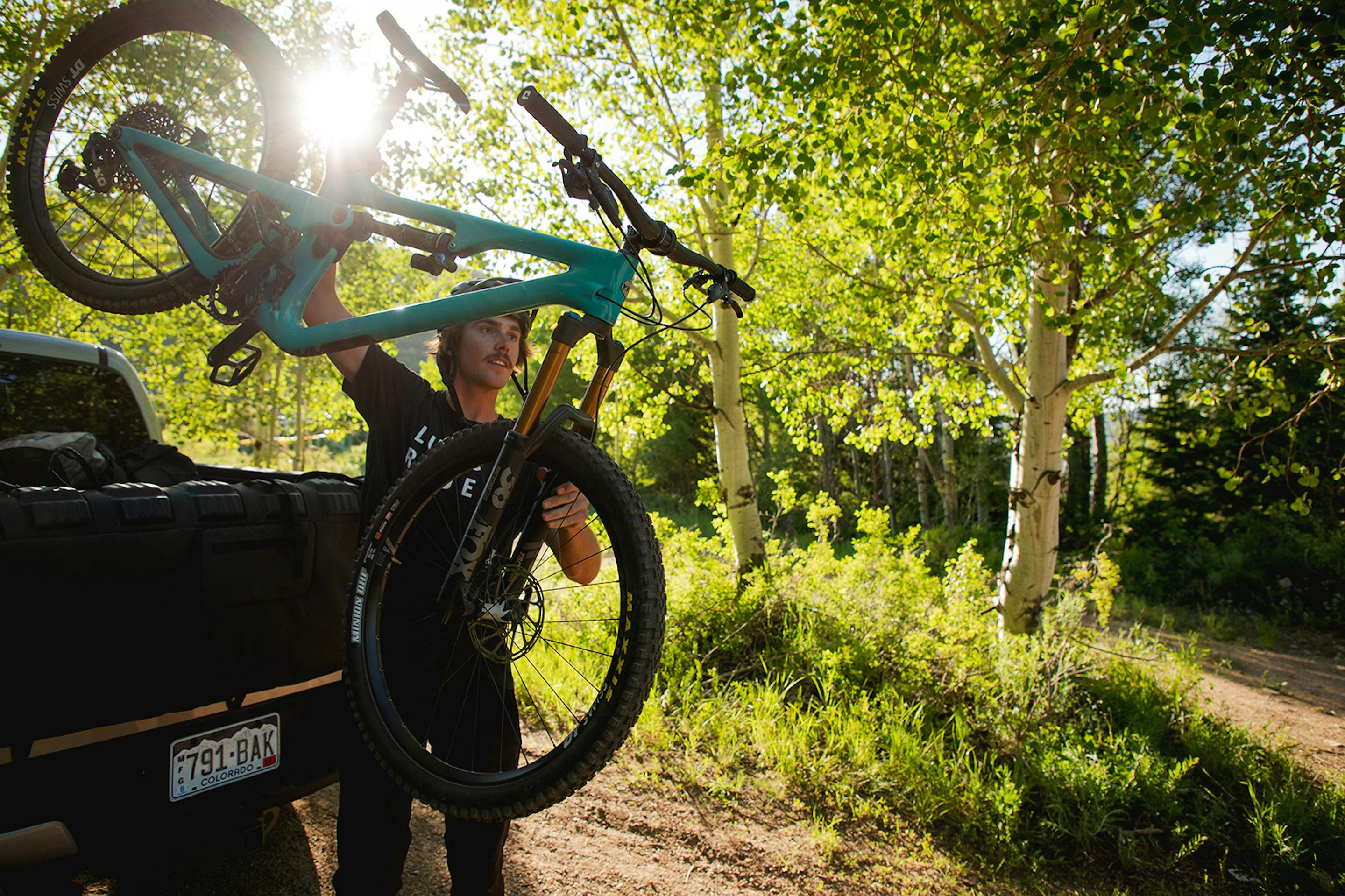 blue yeti sb140 in a forest