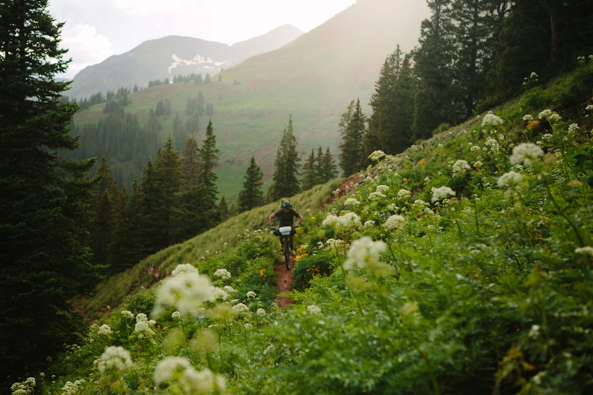 Justin Reiter riding the ASR surrounded by wildflowers along the Colorado Trail