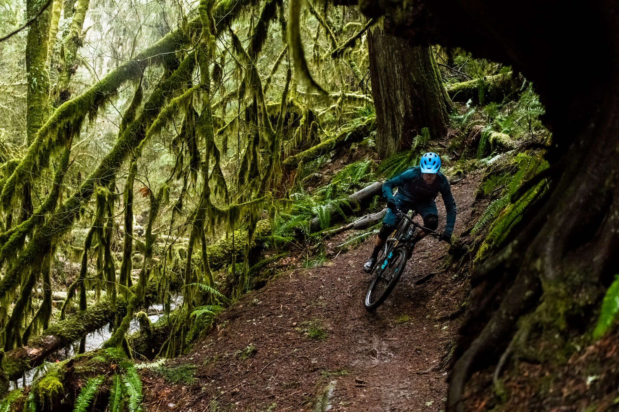 yeti cycles whiskey