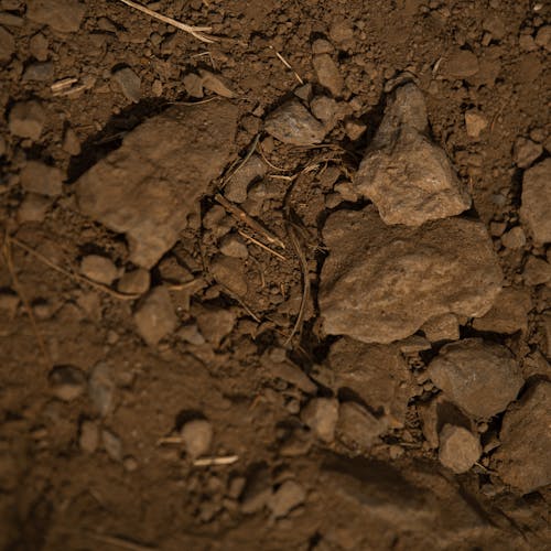 EWS.7 Crans-Montana - Dirt