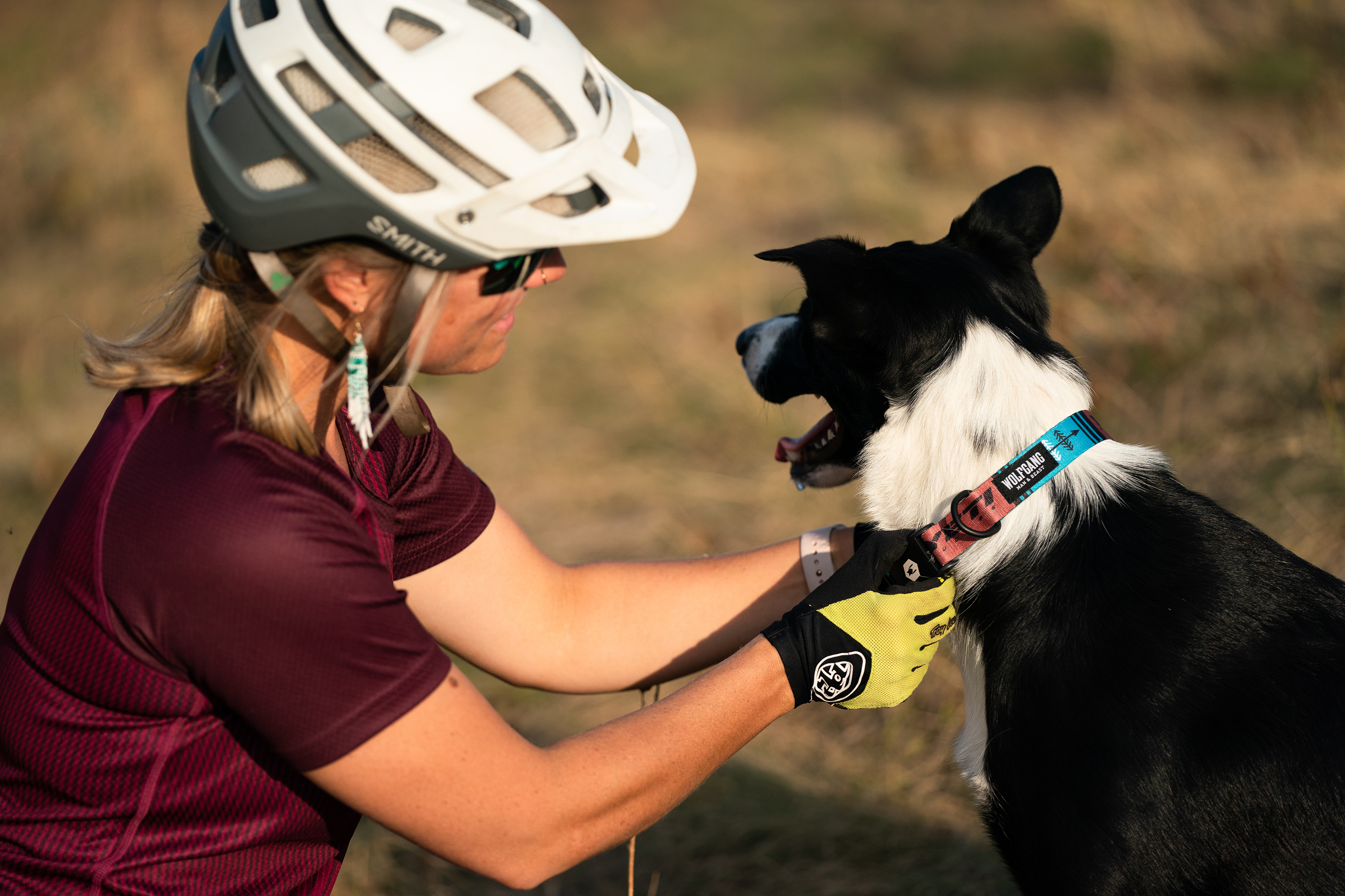 f1b labradoodles for sale