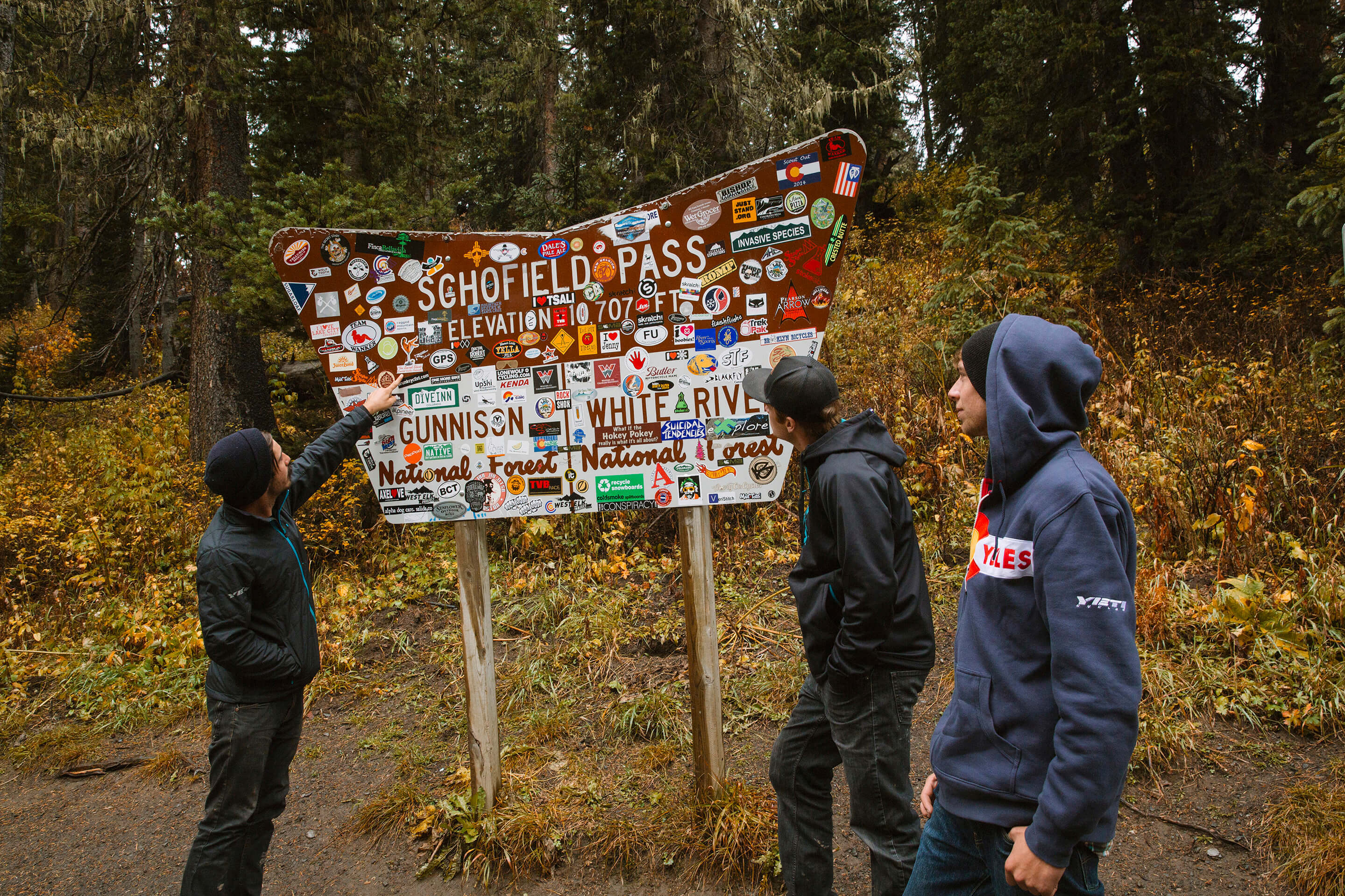custom yeti bike decals