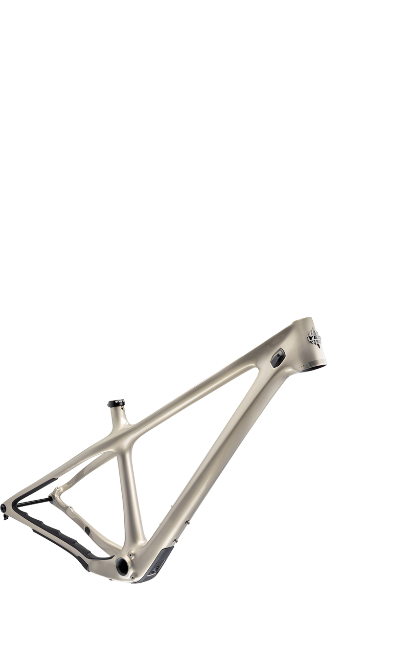 2022 Yeti ARC Dom Frame