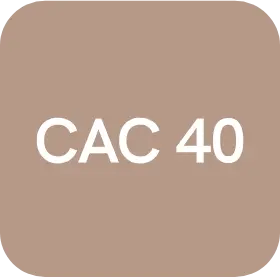 CAC 40