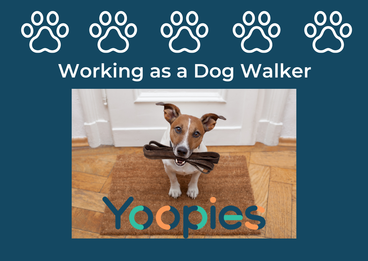What are the benefits of working as a dog walker?