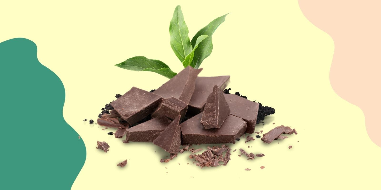 Eco-Friendly & Ethical Chocolate