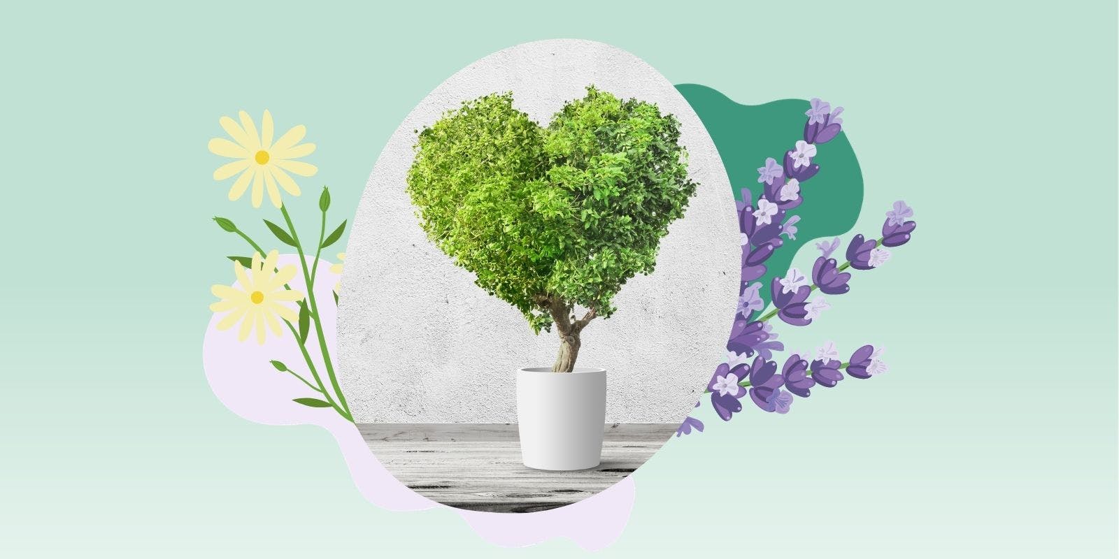 Flower Power: Menstrual Cycle Mood Boosting Plants