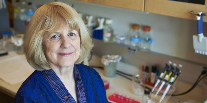 Professor Mary-Claire King
