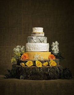 cheese platter cake 