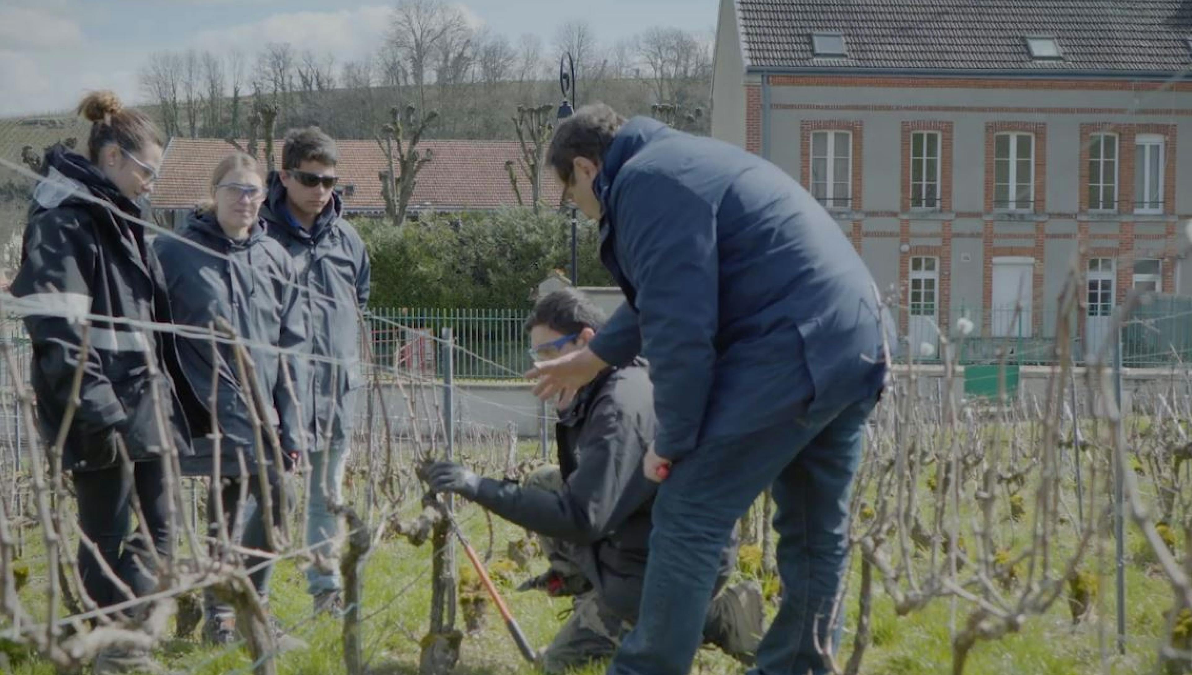 Des apprentis en viticulture et leur maître d'apprentissage