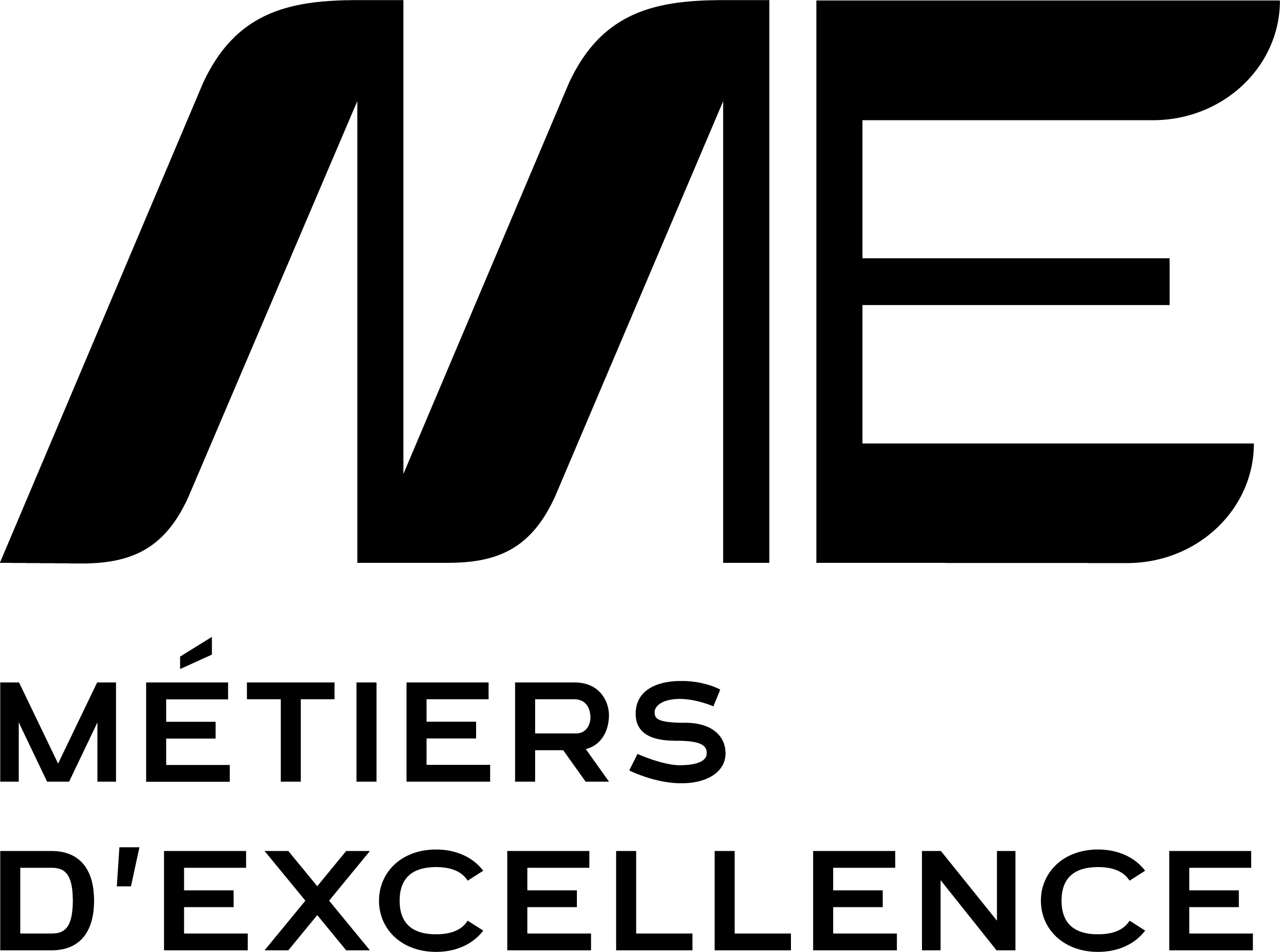Métiers d'Excellence LVMH shine in Italy at SHOW ME event - LVMH