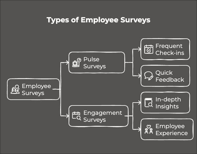 Types of employee surverys