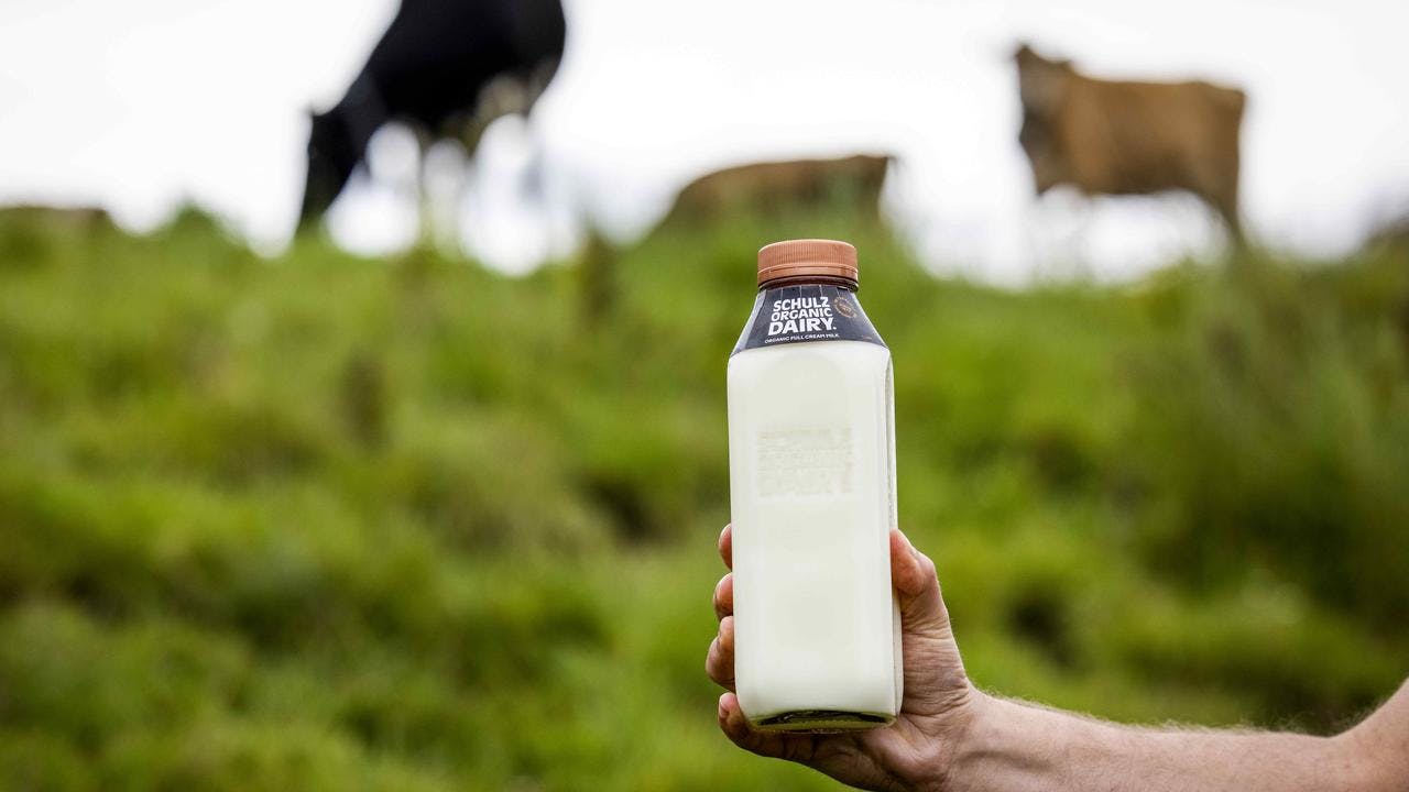 Shultz Organic Milk