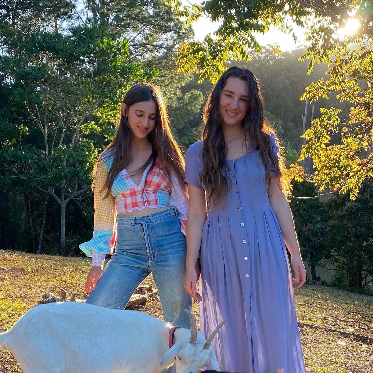 As seen on Mother The Mountain Farm