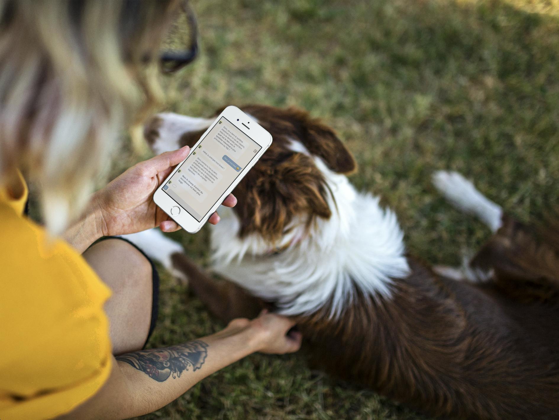 photo smartphone et chien