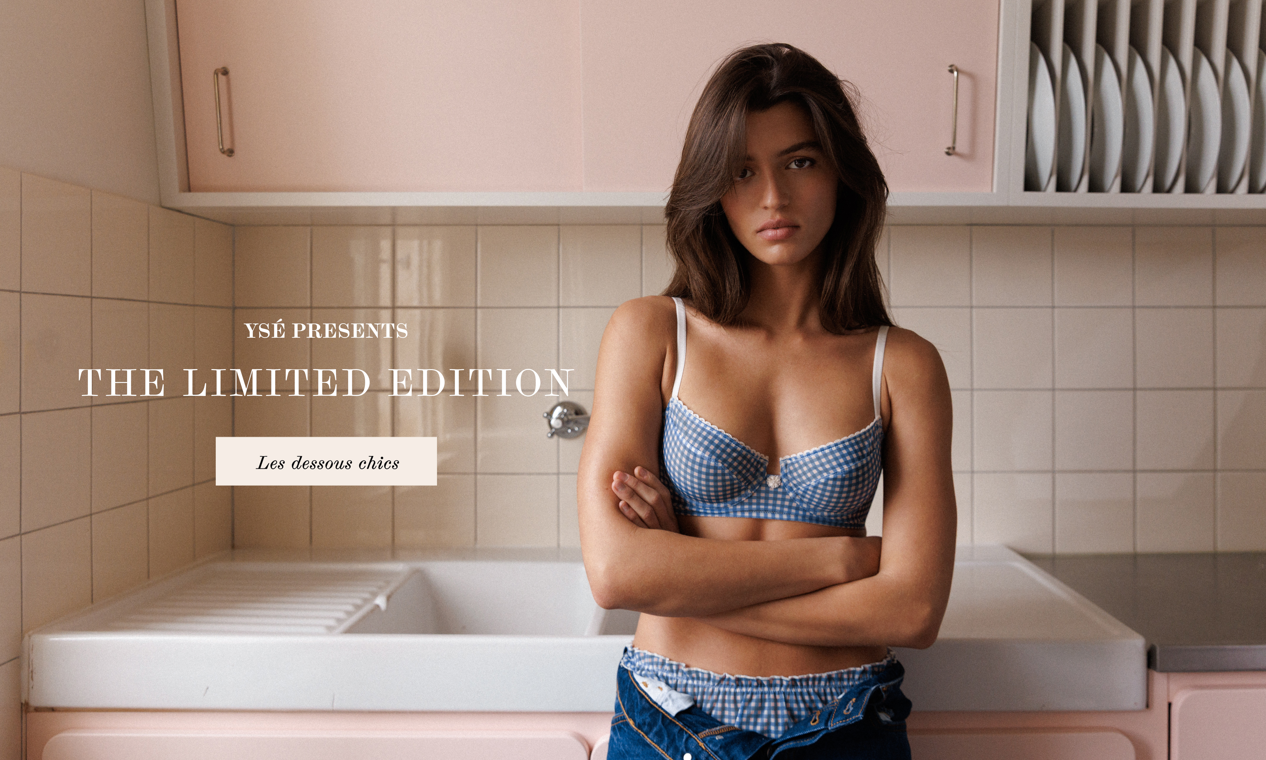 Les dessous chics 下着専門書 写真集 フランス語 Les dessous chics 下着専門書 写真集 フランス語 本