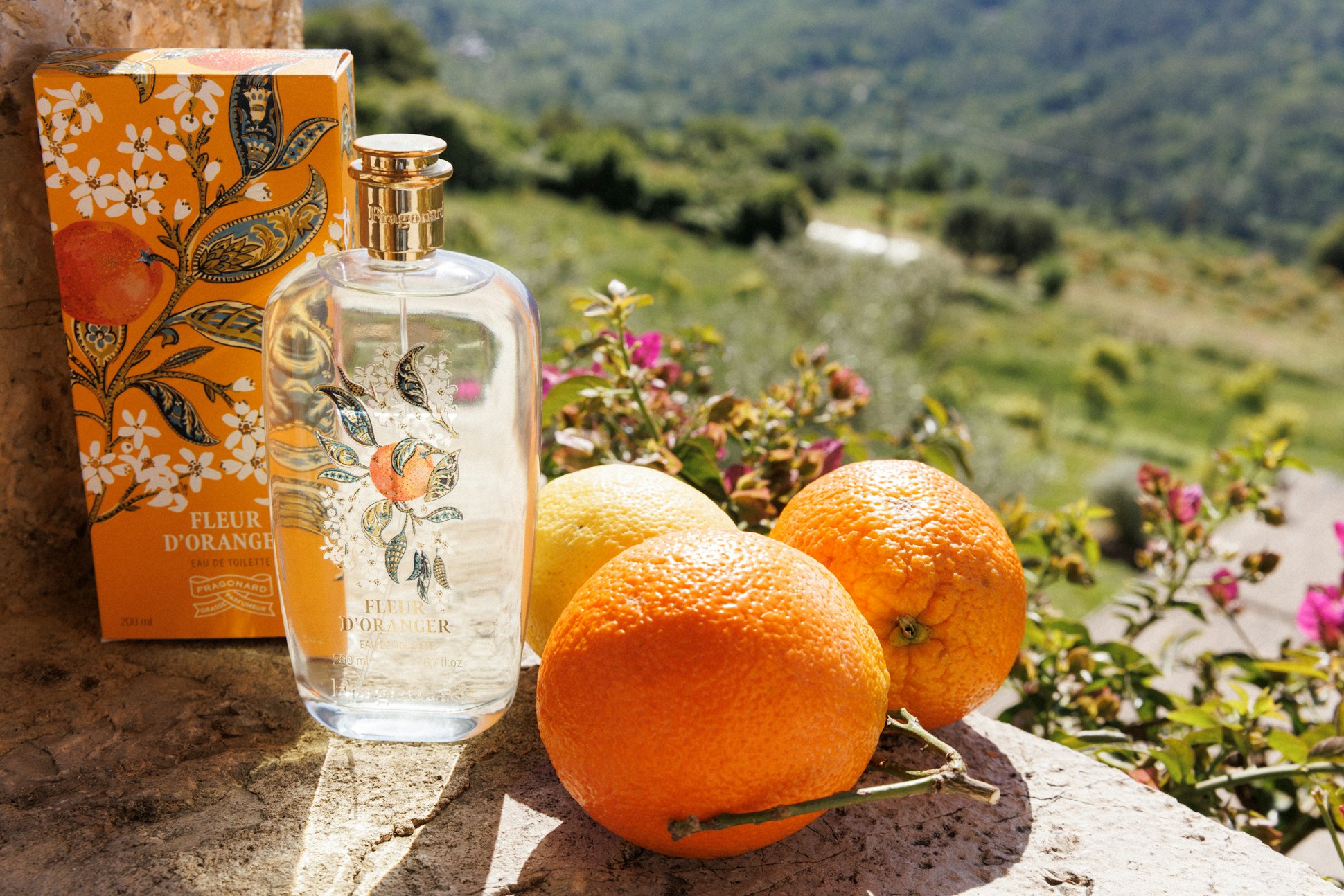 Parfum Fragonard Fleur d'oranger