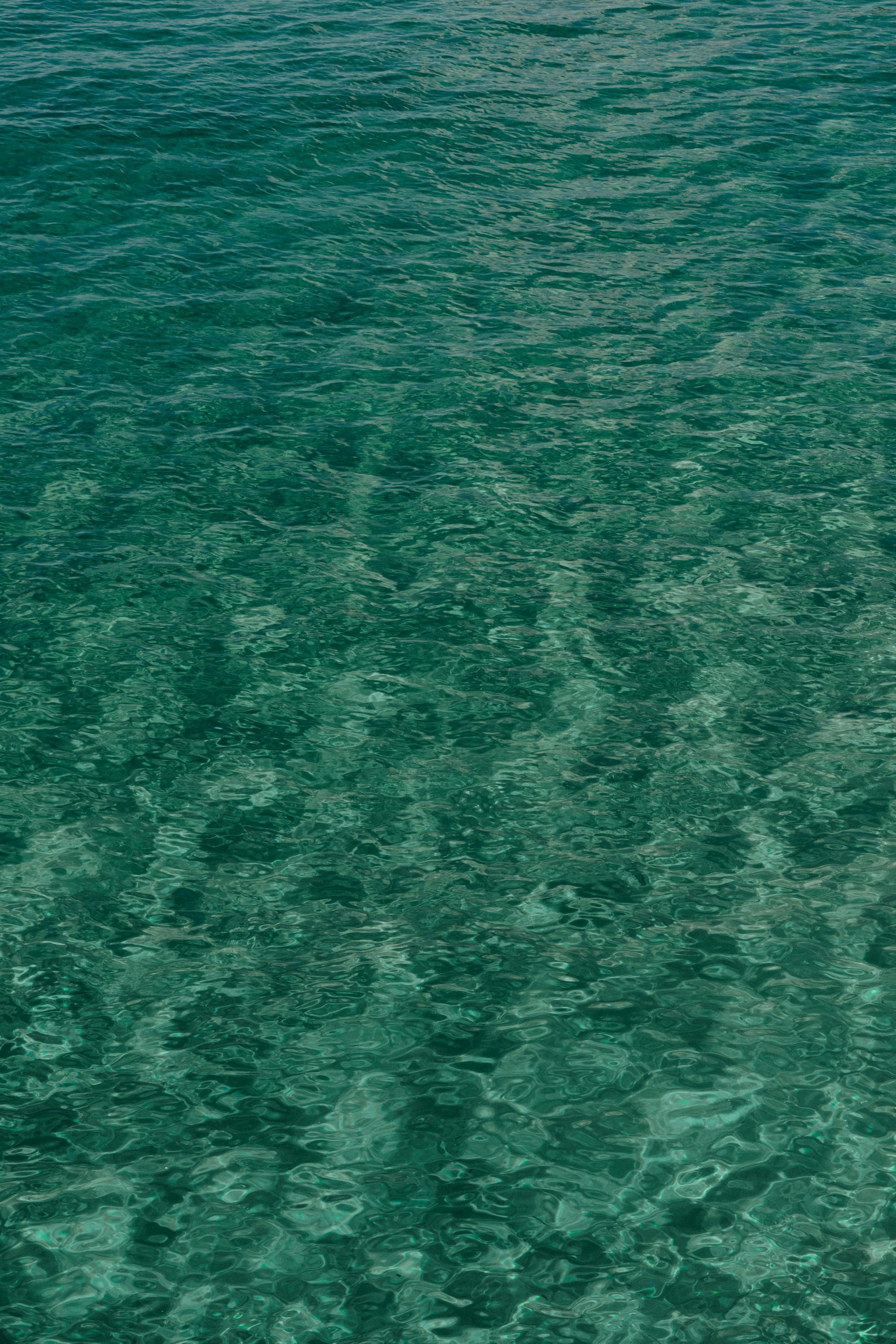 City guides x The Host