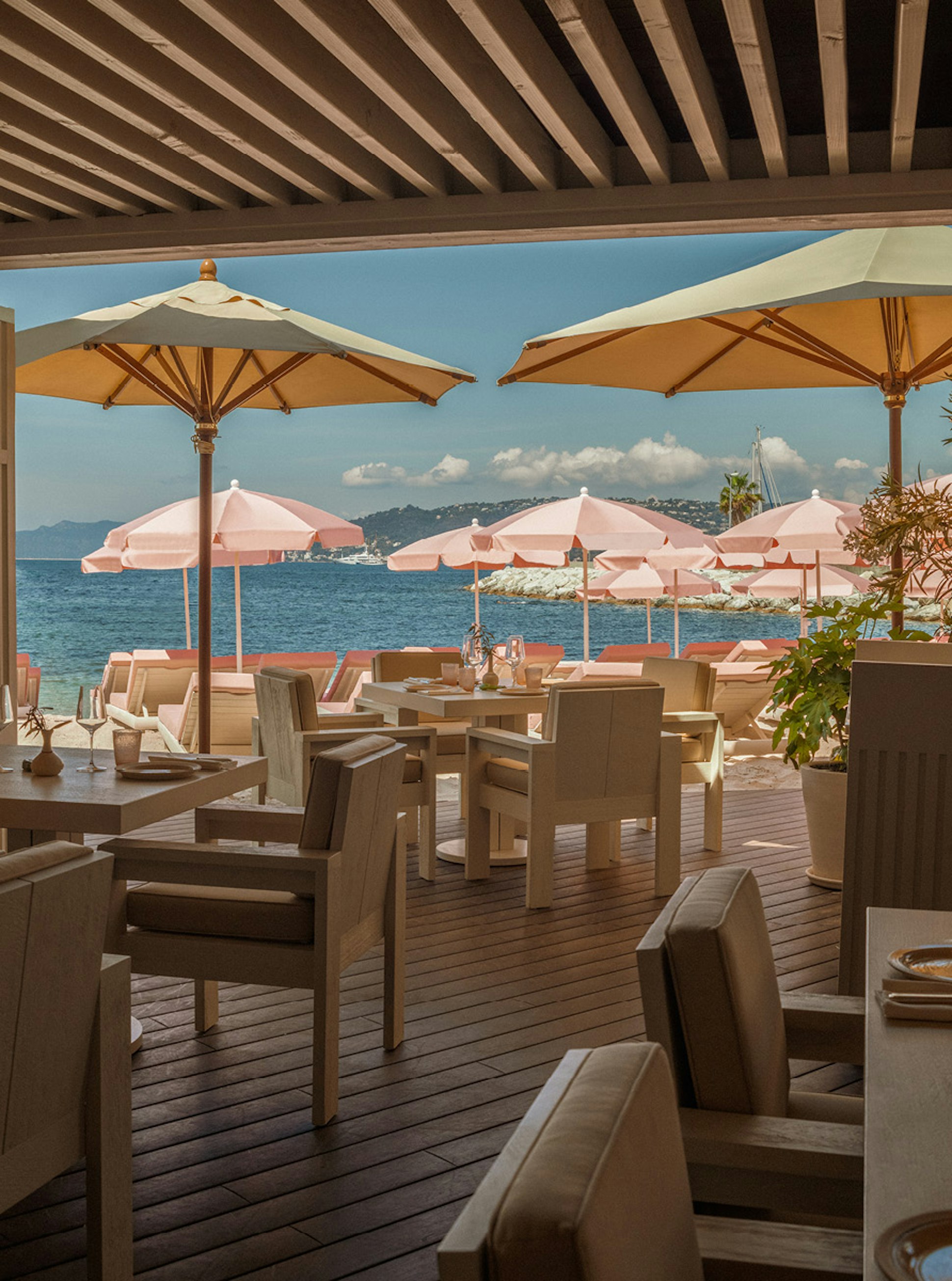 City guides - Cannes x The Host