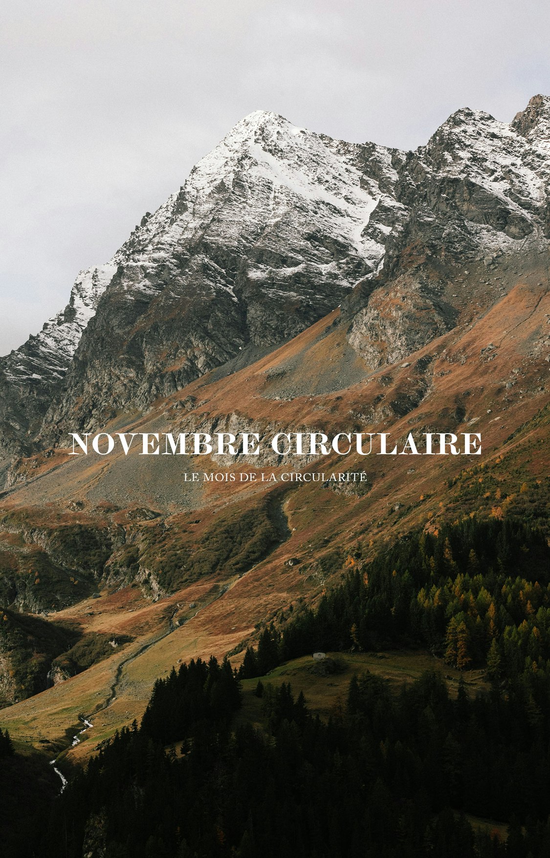 Novembre Circulaire