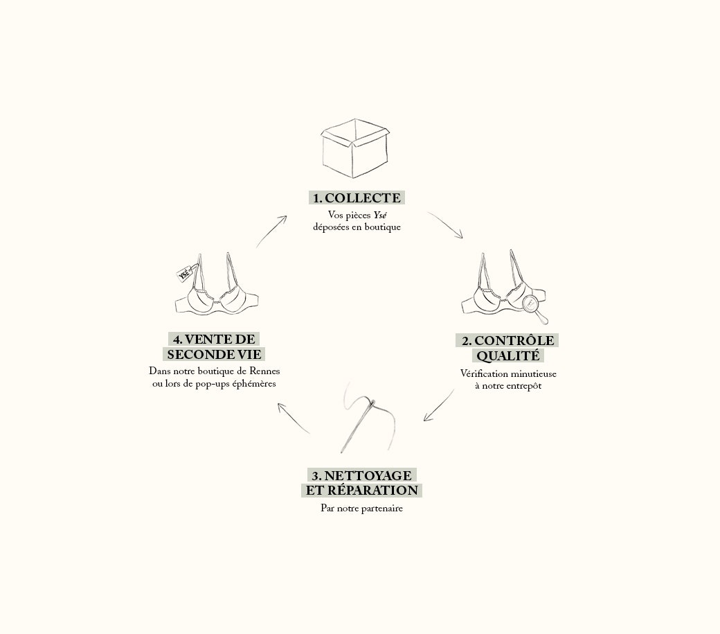 Infographie Novembre circulaire