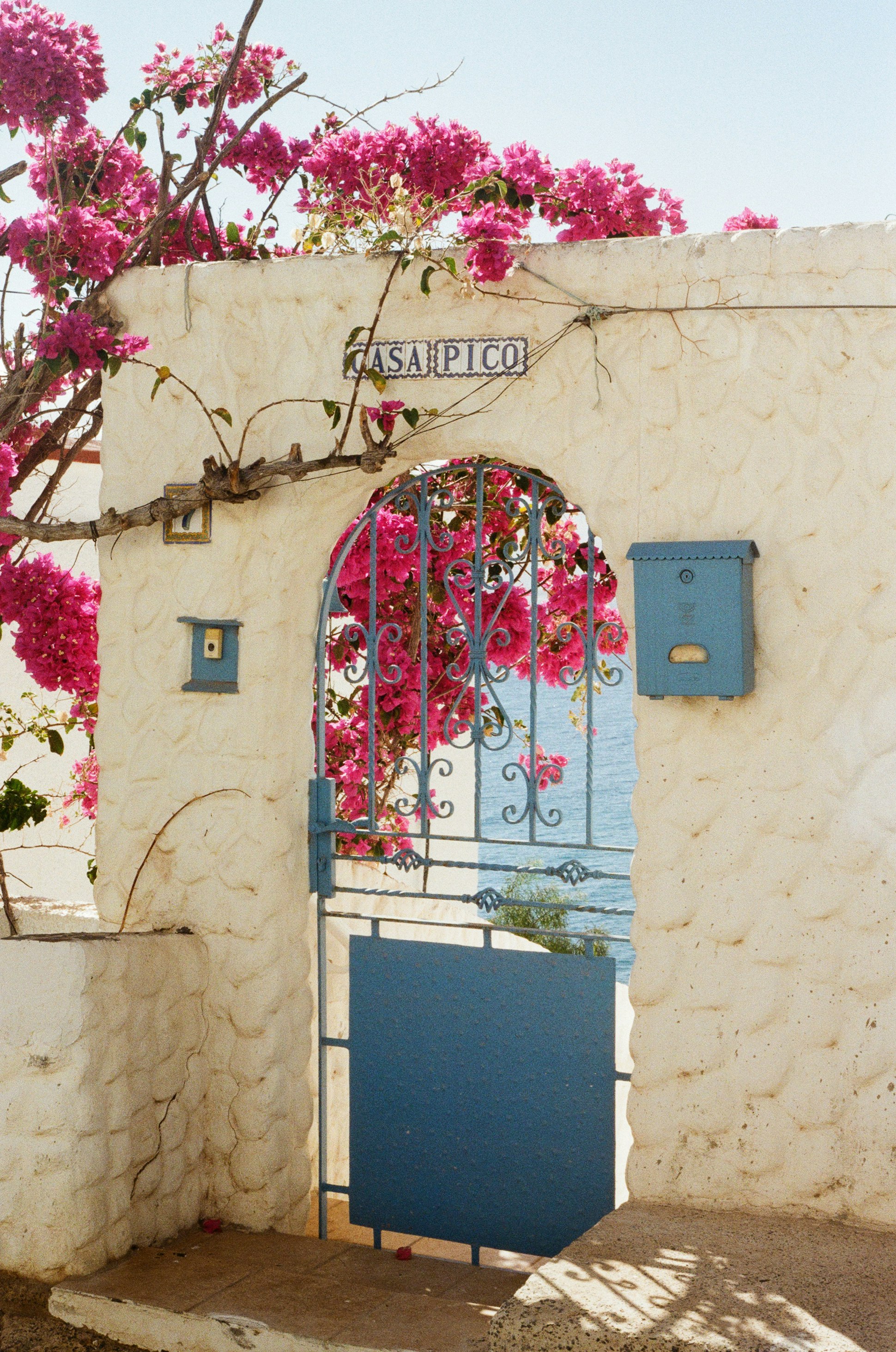 Mood - Le grand bain