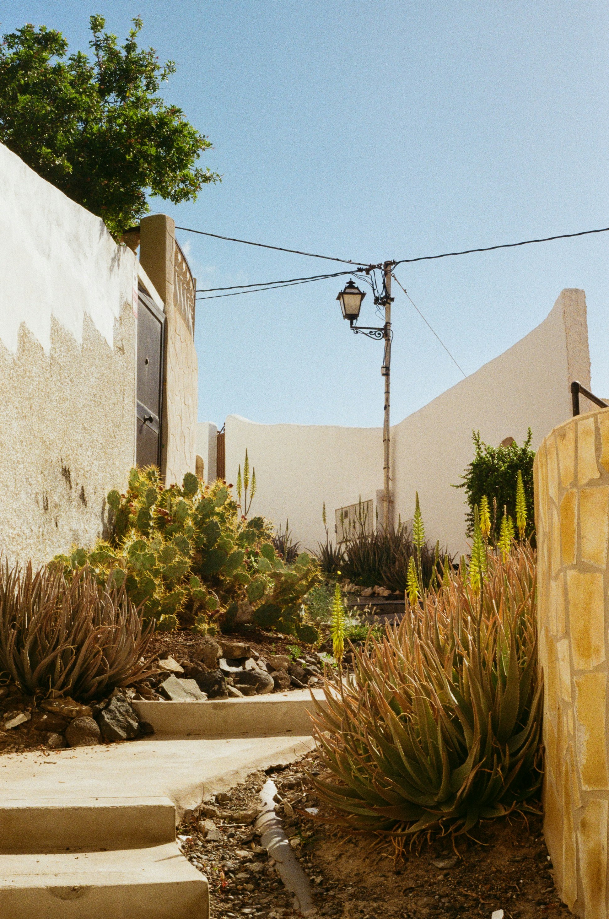 Mood - Le grand bain