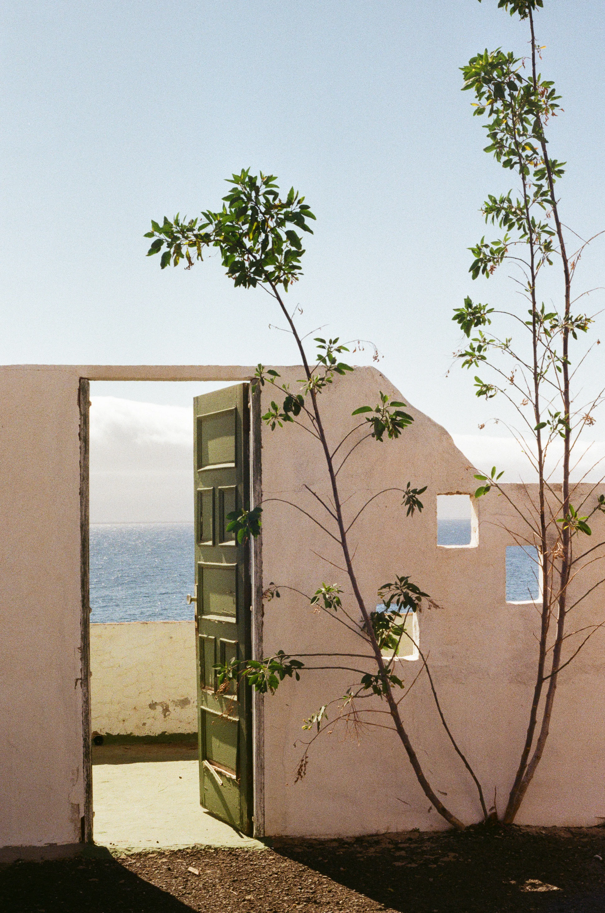 Mood Les iconiques bain PE26