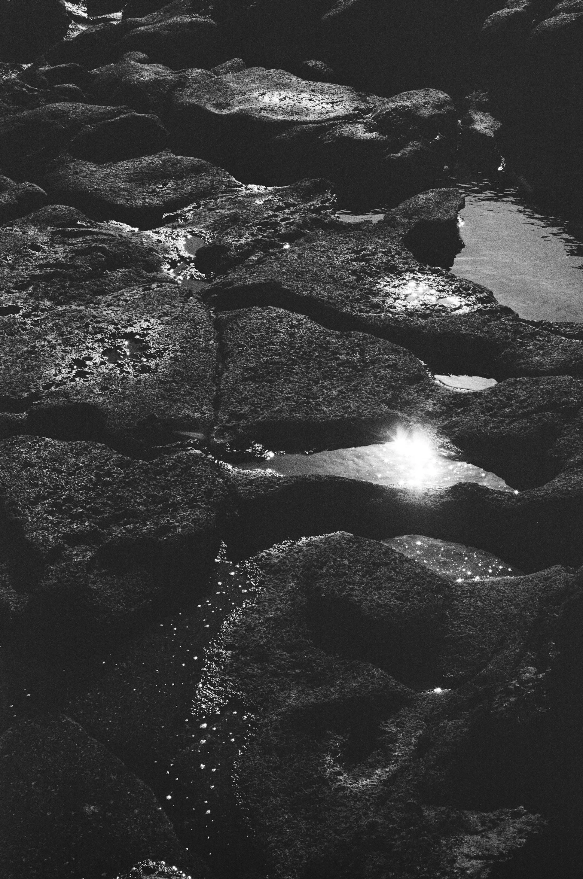 Mood Les iconiques bain PE26