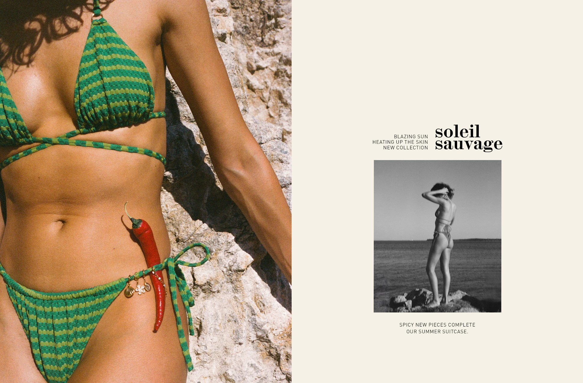Header EN - Soleil sauvage