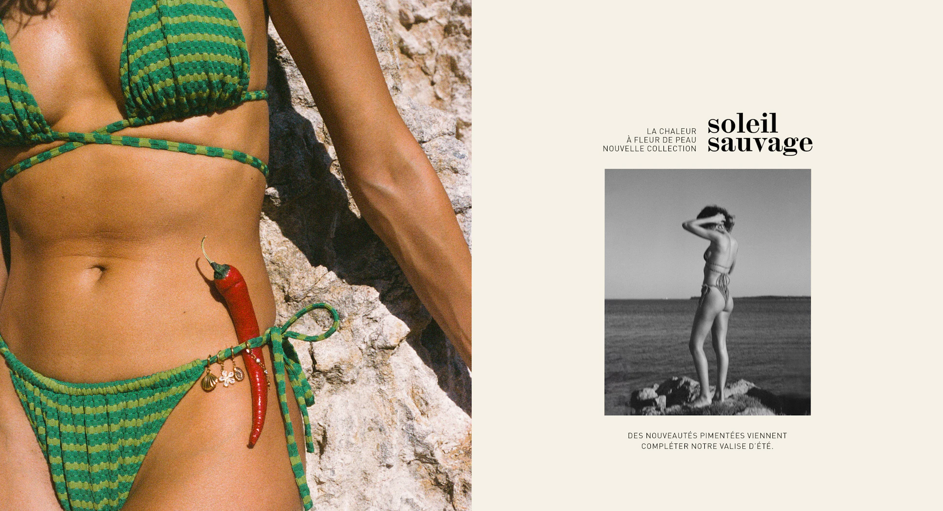 Header FR - Soleil sauvage