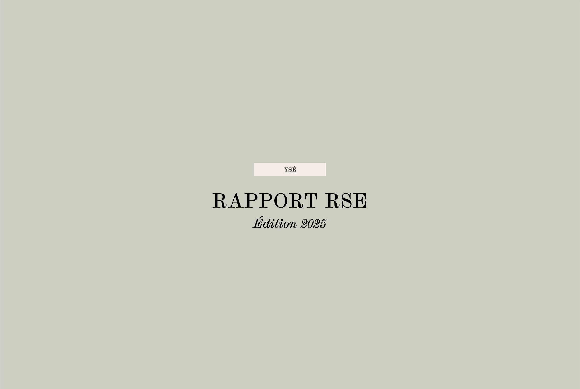 Rapport RSE 2025