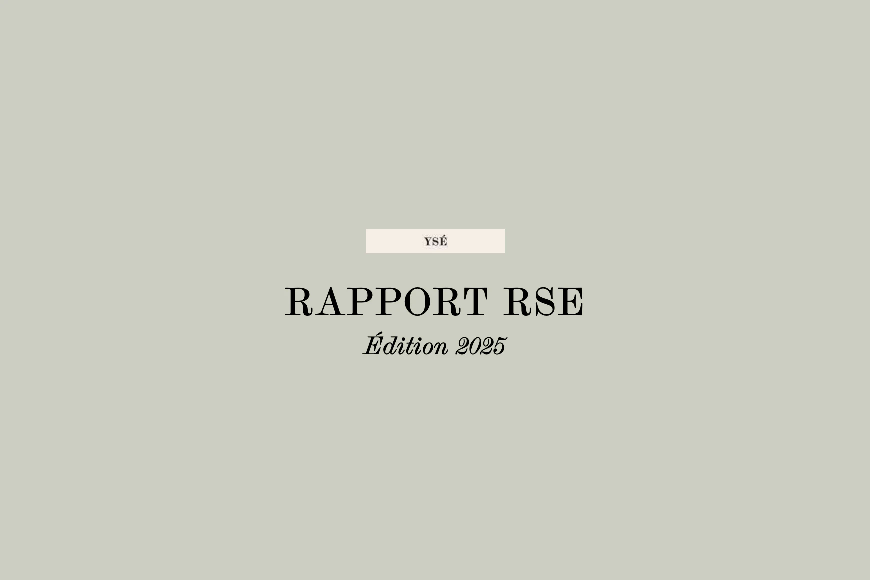 Rapport RSE 2025