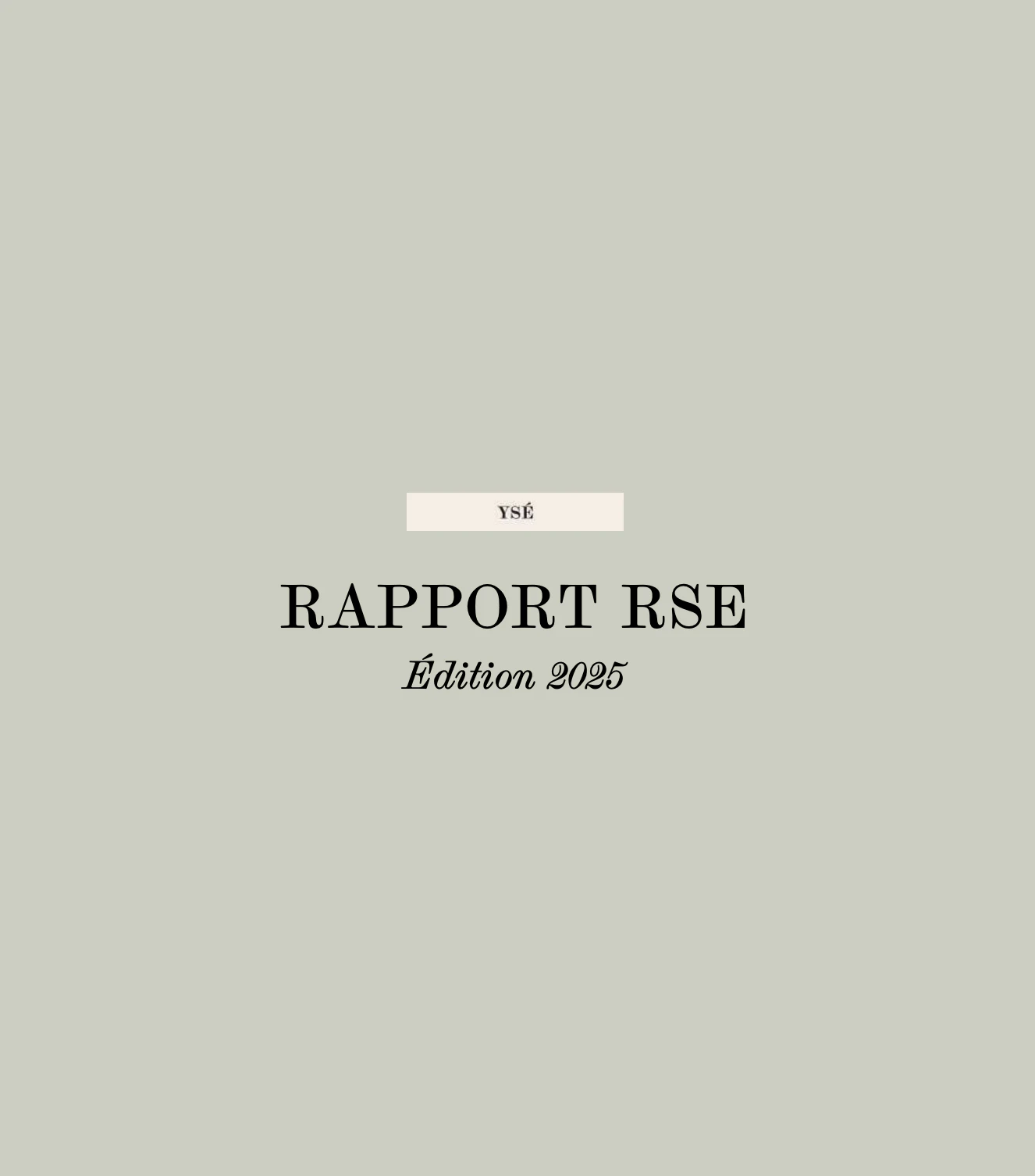 Rapport RSE 2025