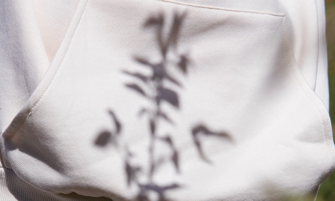 Sweat Nouvelle harmonie Vanille