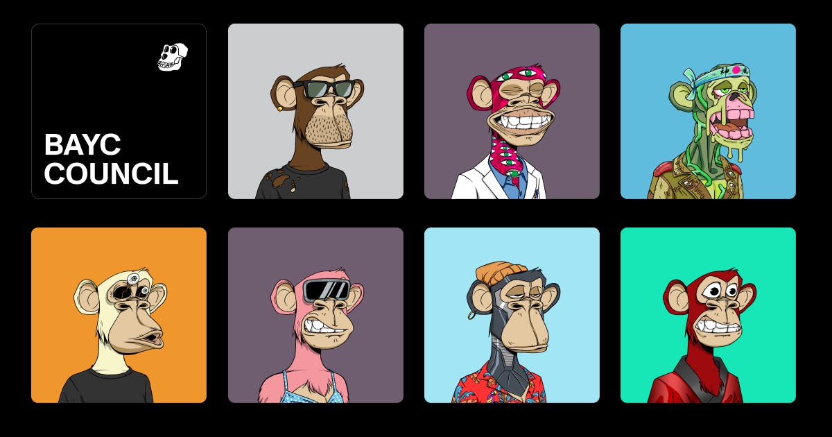 MEET THE NEW BAYC COMMUNITY COUNCIL