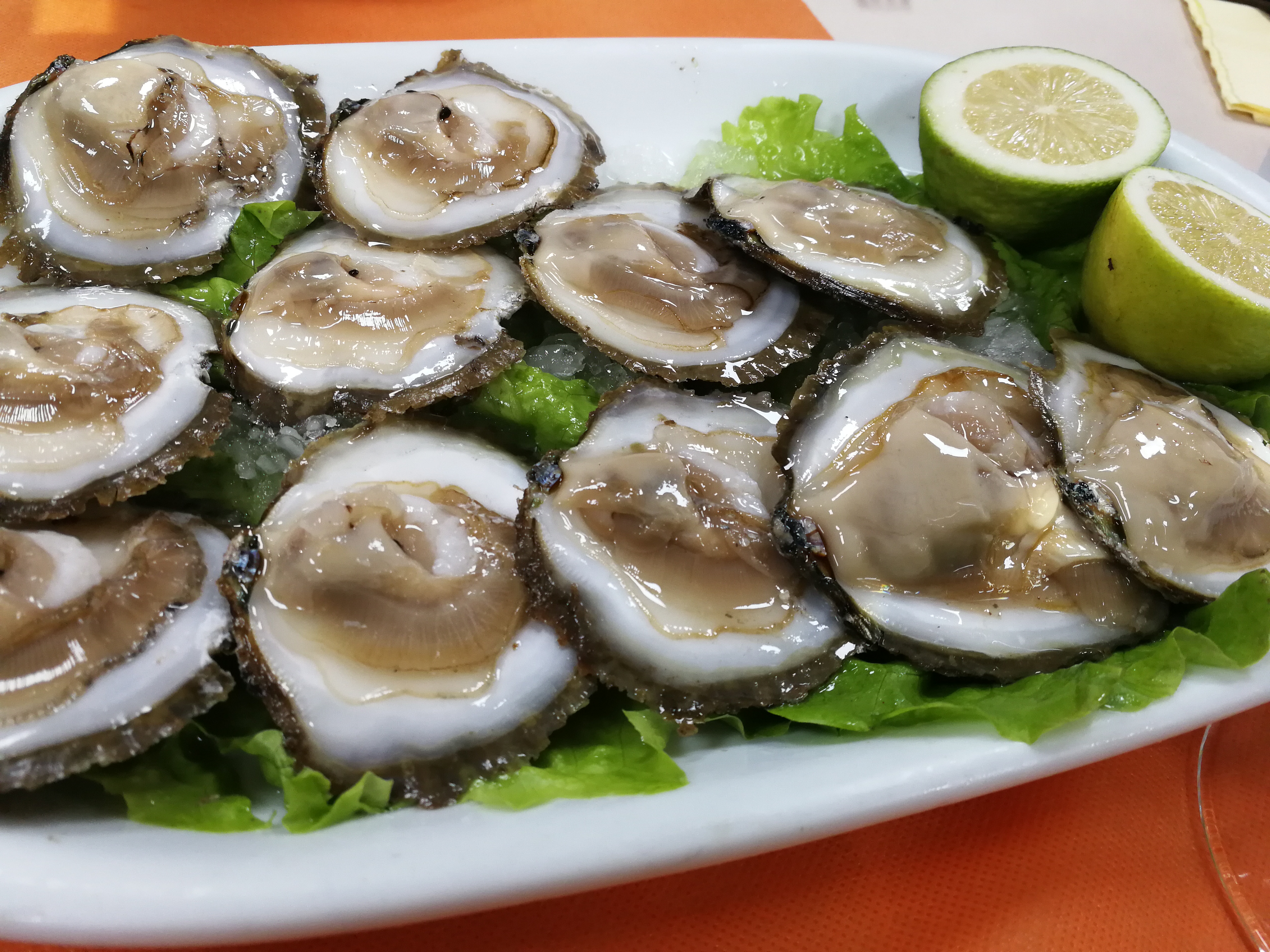 11 fat, juicy oysters with 1 lime chopped in half rest on a plate in northern Portugal.