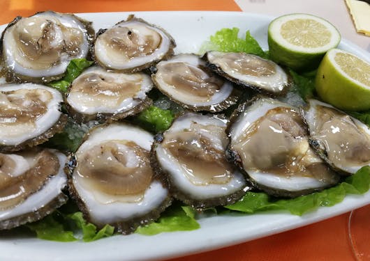 11 fat, juicy oysters with 1 lime chopped in half rest on a plate in northern Portugal.