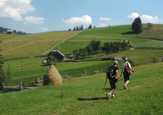 2 adult Caucasian hikers with day packs walk through the gentle, green grass, rolling hills of Bucovina Romania.