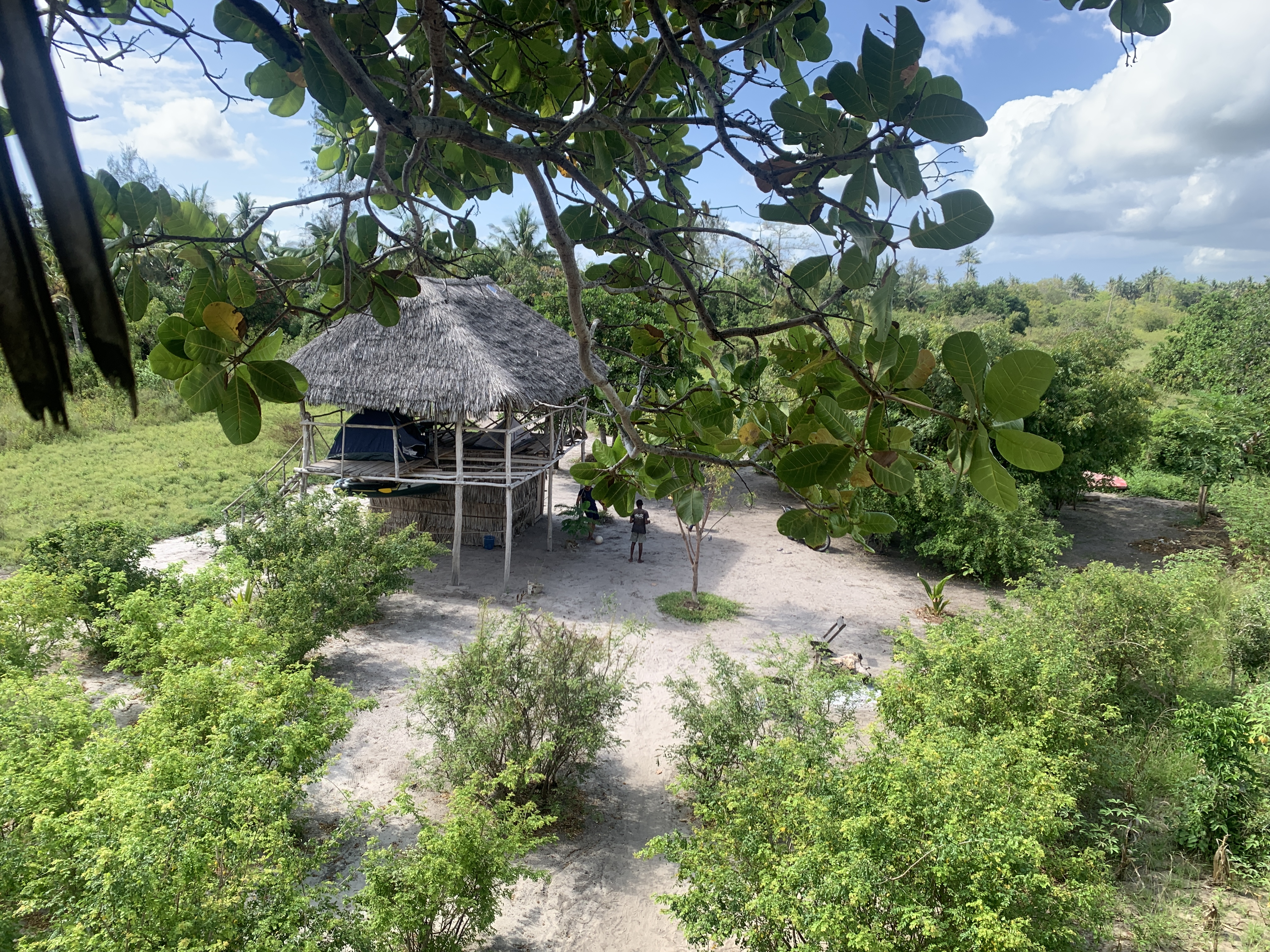 A tree house on stilts with a thatched matuki roof sits amidst a clearing within a lush green forest.