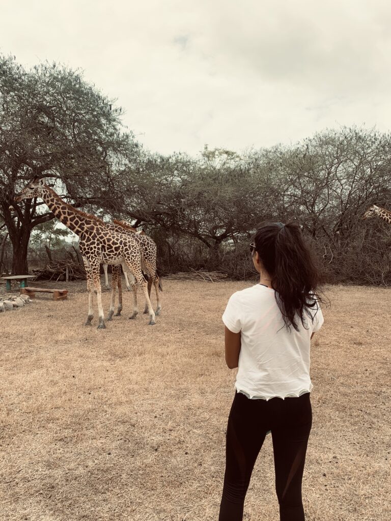 A local Kenyan woman wearing long black pants and a white t-shirt with her dark hair in a ponytail stands facing away from the camera on dry brown grass looking at two giraffes near trees in the distance. It's a cloudy day.