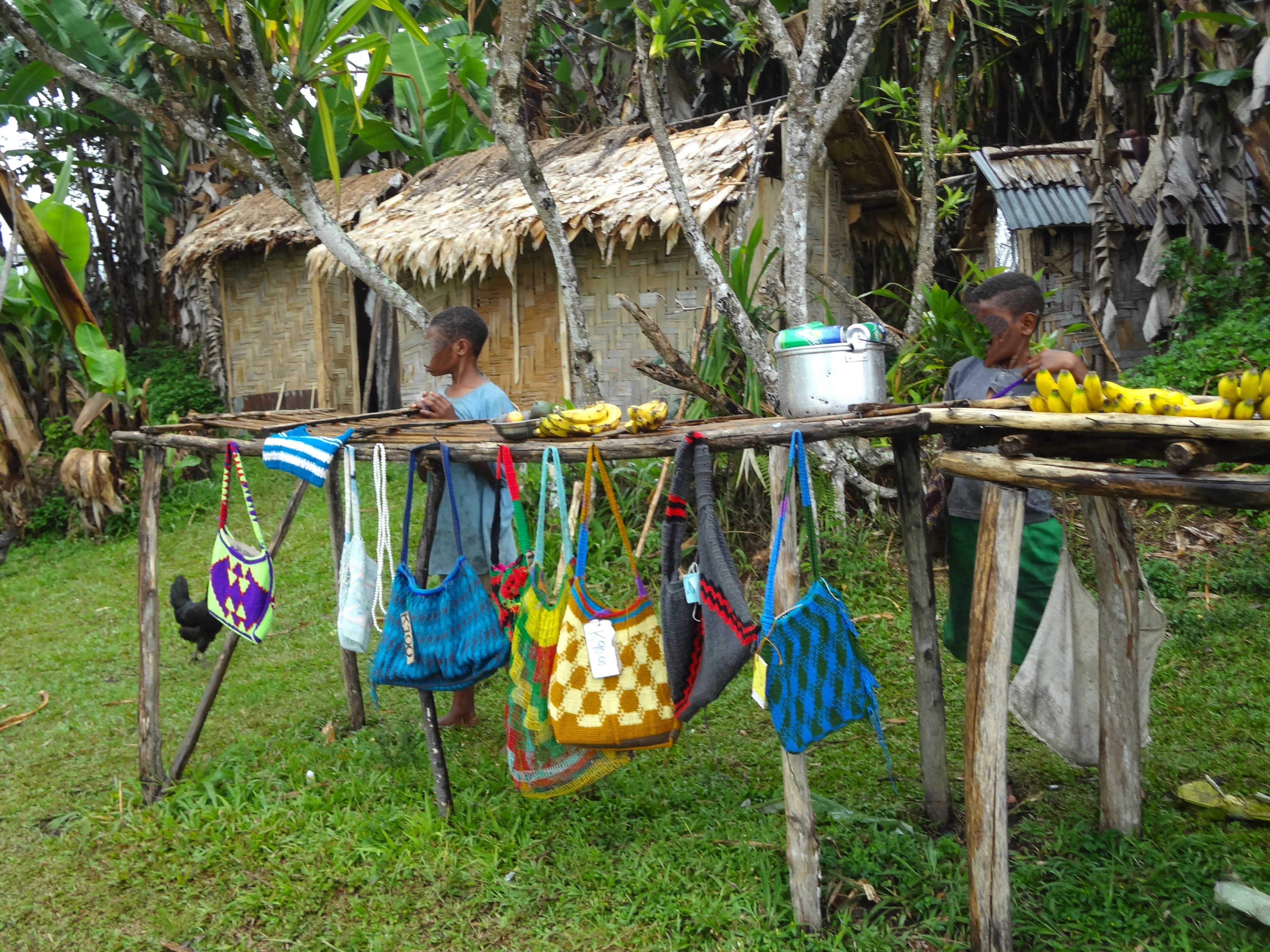 Two local young boys in the Menari Village along the Kokoda Track in Papua New Guinea stand over wooden support beams holding up colorful bags and yellow bananas. A thatched roof building is in the background. They're standing on green grass with green jungle behind them.