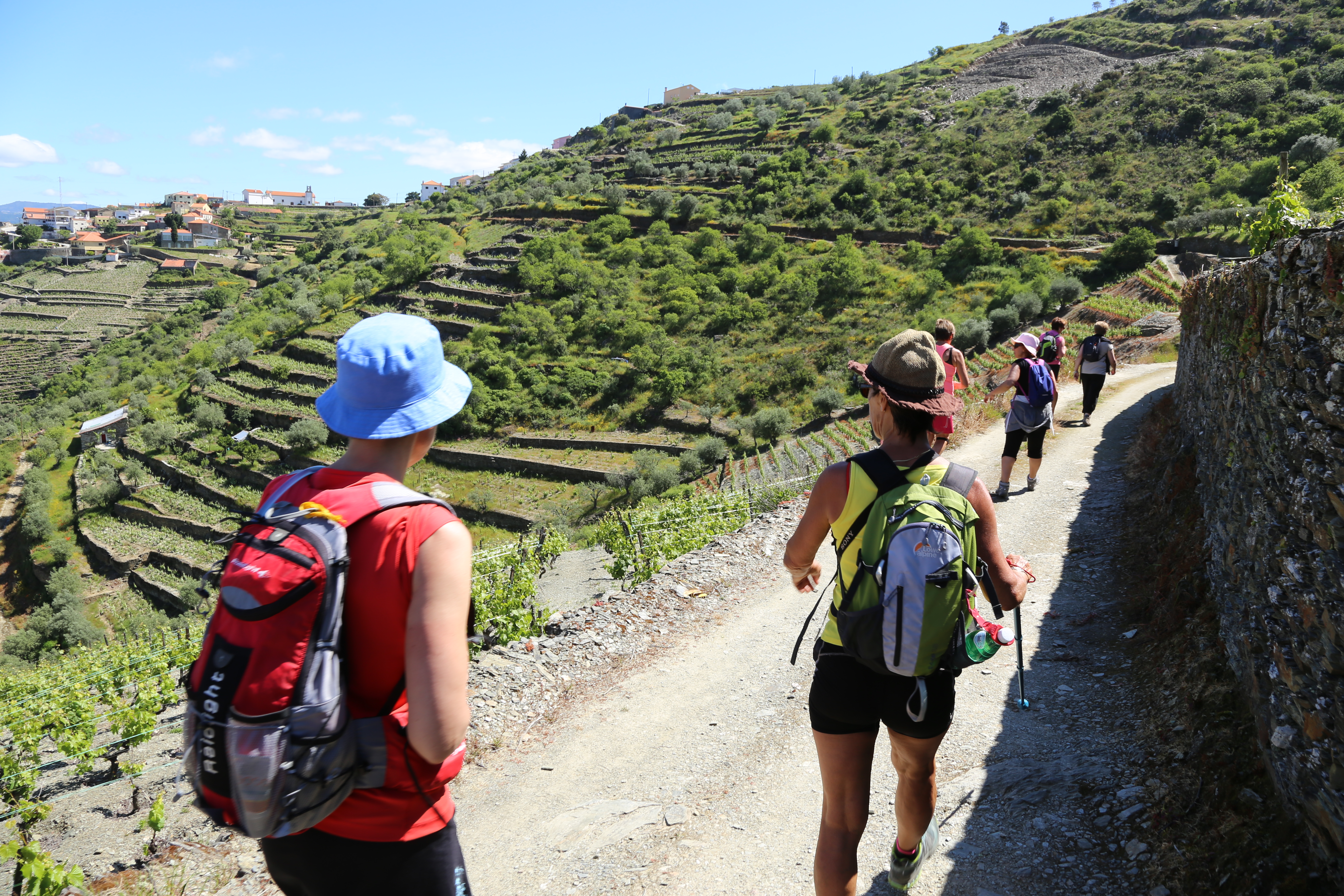 A group of 6 adult Caucasian women walk away from us down a dirt path in Portugal's Douro Valley, with green vineyards to their left.