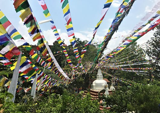 Colorful prayer flags in Nepal stretch over a forest to the top of a white temple.