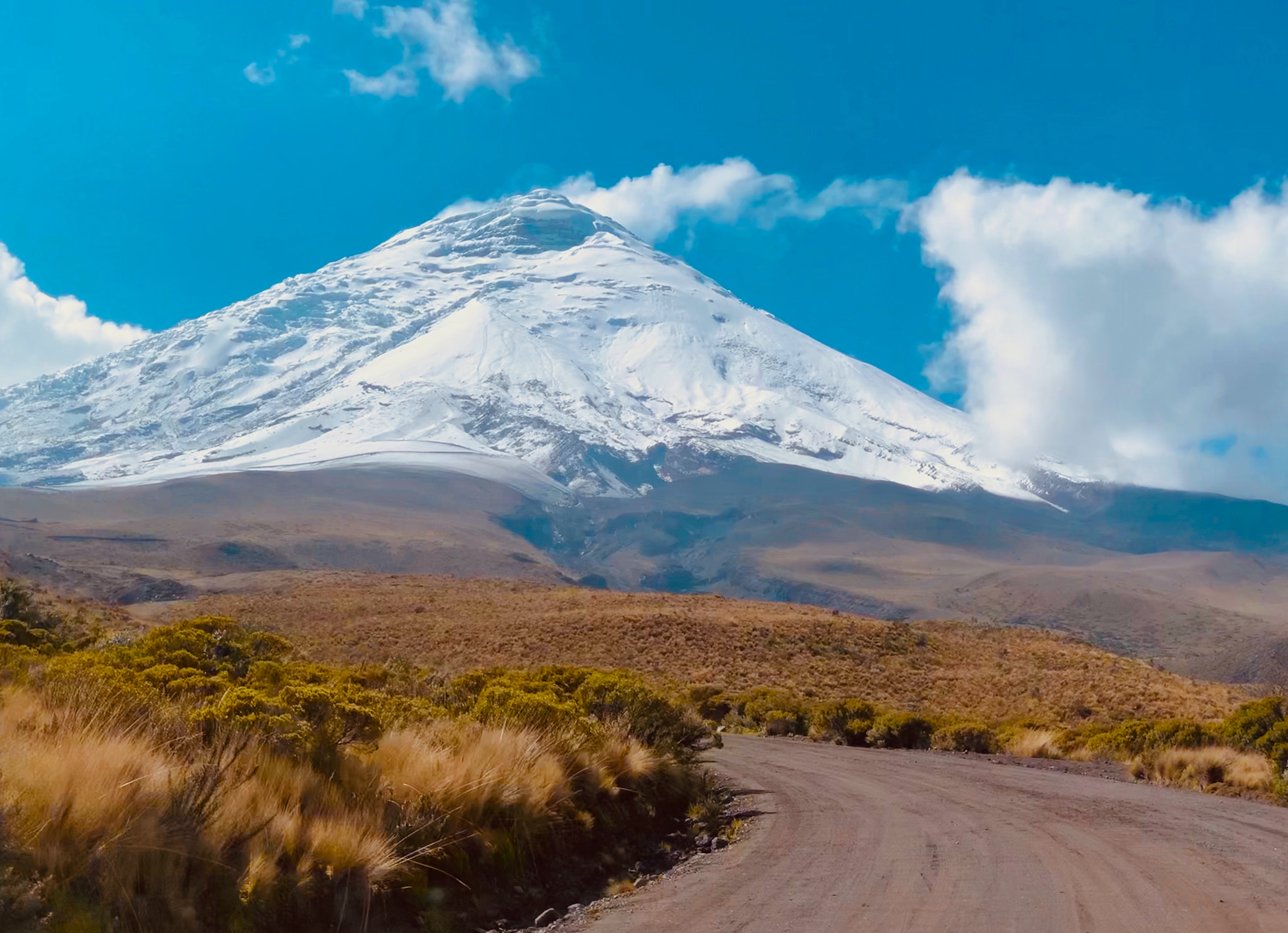 A snow-capped Cotopaxi Mountain is in the distance, with a dirt road and autumnal brush in the foreground.