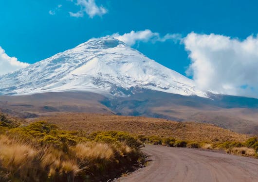 A snow-capped Cotopaxi Mountain is in the distance, with a dirt road and autumnal brush in the foreground.