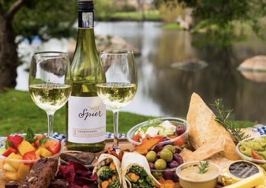 An elaborate platter of food adorned with fresh cut fruit, olives, brownies, wraps, hummous, pasta, wine glasses filled with white wine, and a wine bottle nearby, sit on a checked blanket in the green grass alongside a serene river covered by trees.