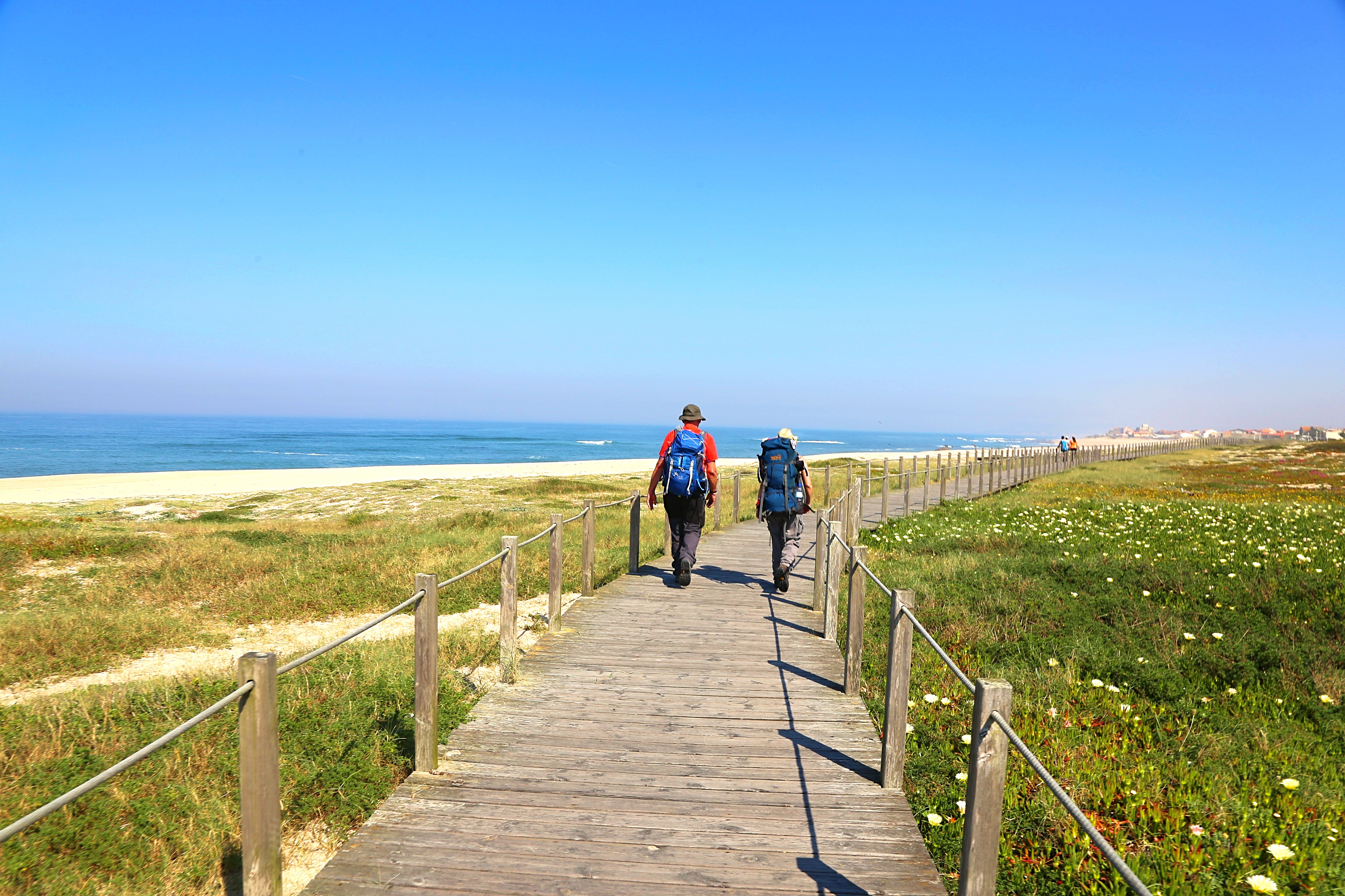 A couple of walkers stroll on a boardwalk with their daypacks heading into the distance; the boardwalk is along a sand beach with blue water off to th left and a blue sky up above. On either side of the boardwalk, there is greenery.