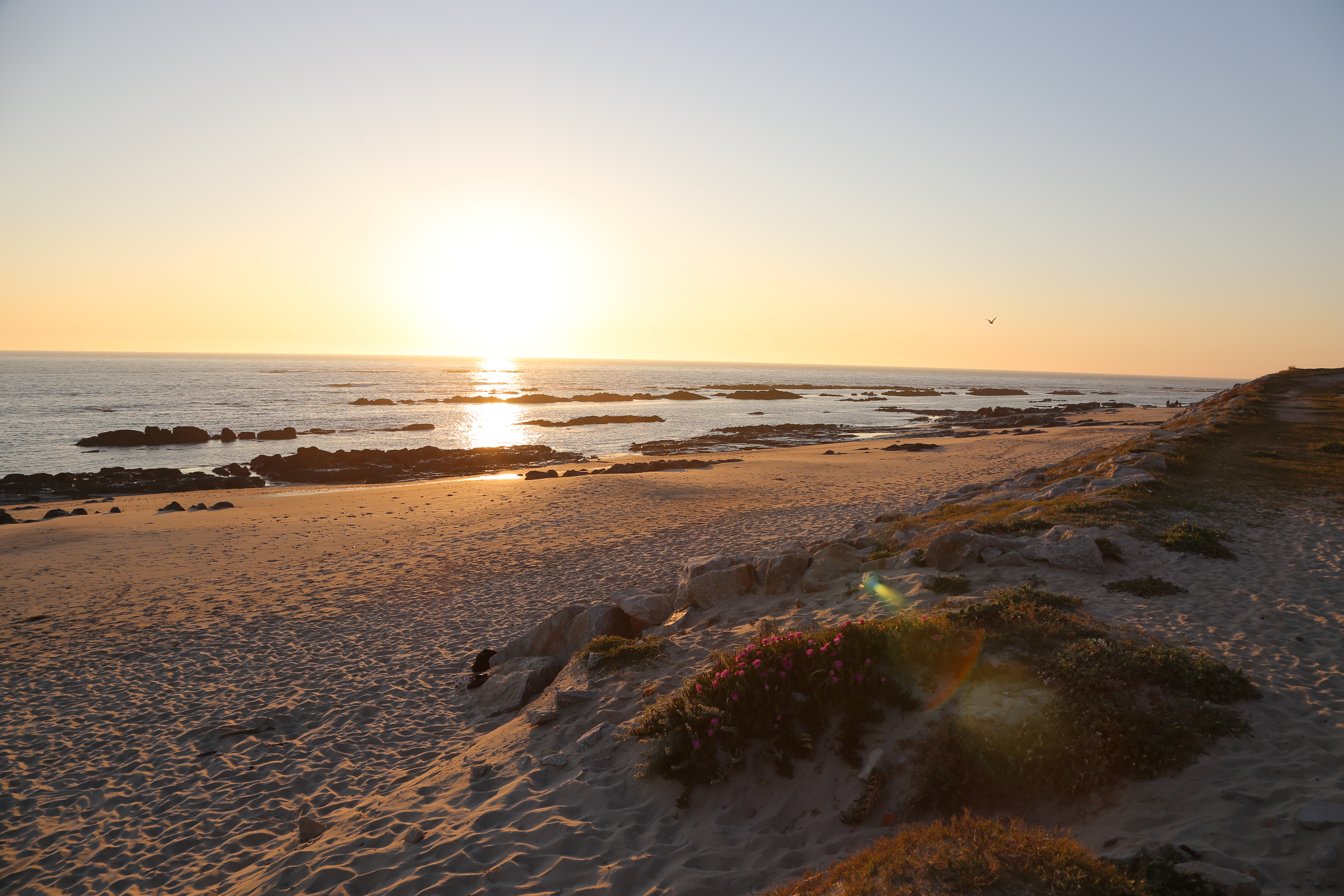 The sun sets off to the left, just over the horizon, on the Atlantic Coast of Portugal. It sparkles over the ocean and onto the sandy shore.