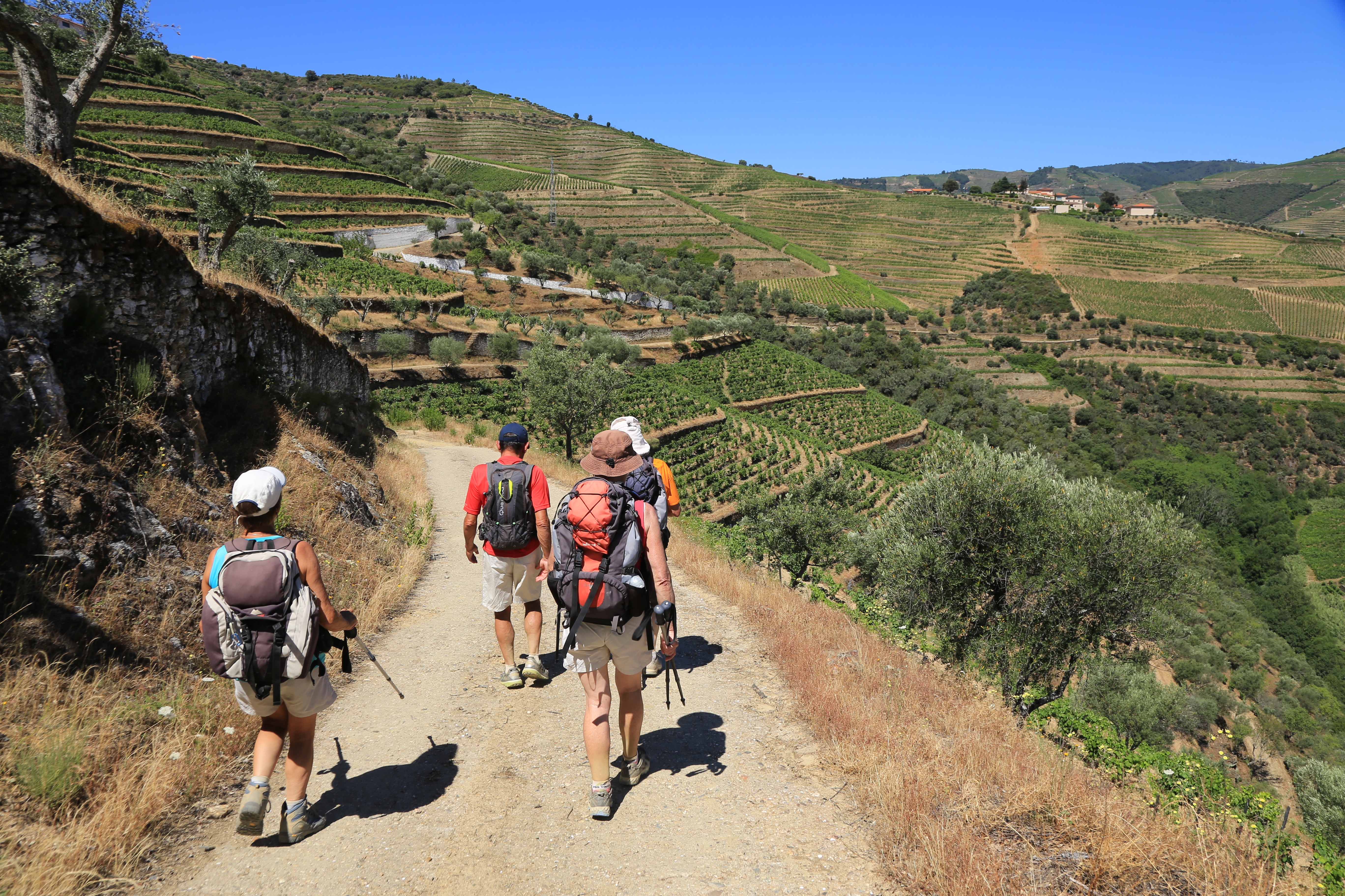 A group of 4 adult Causcaian hikers walk along the a dirt path in Portugal's Douro Valley, alongside green vineyards with a blue sky in the background